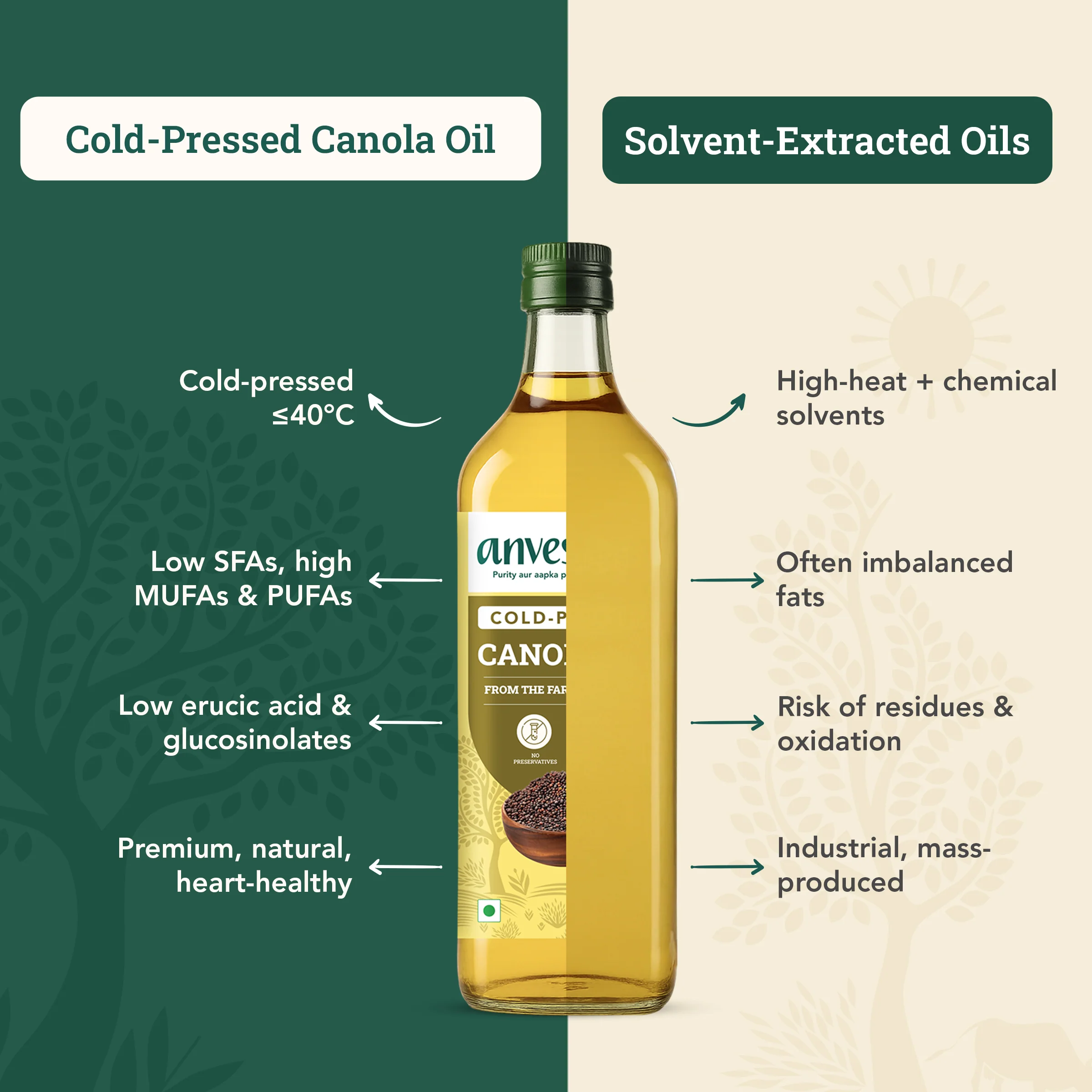 Cold-Pressed Canola Oil - Image 4