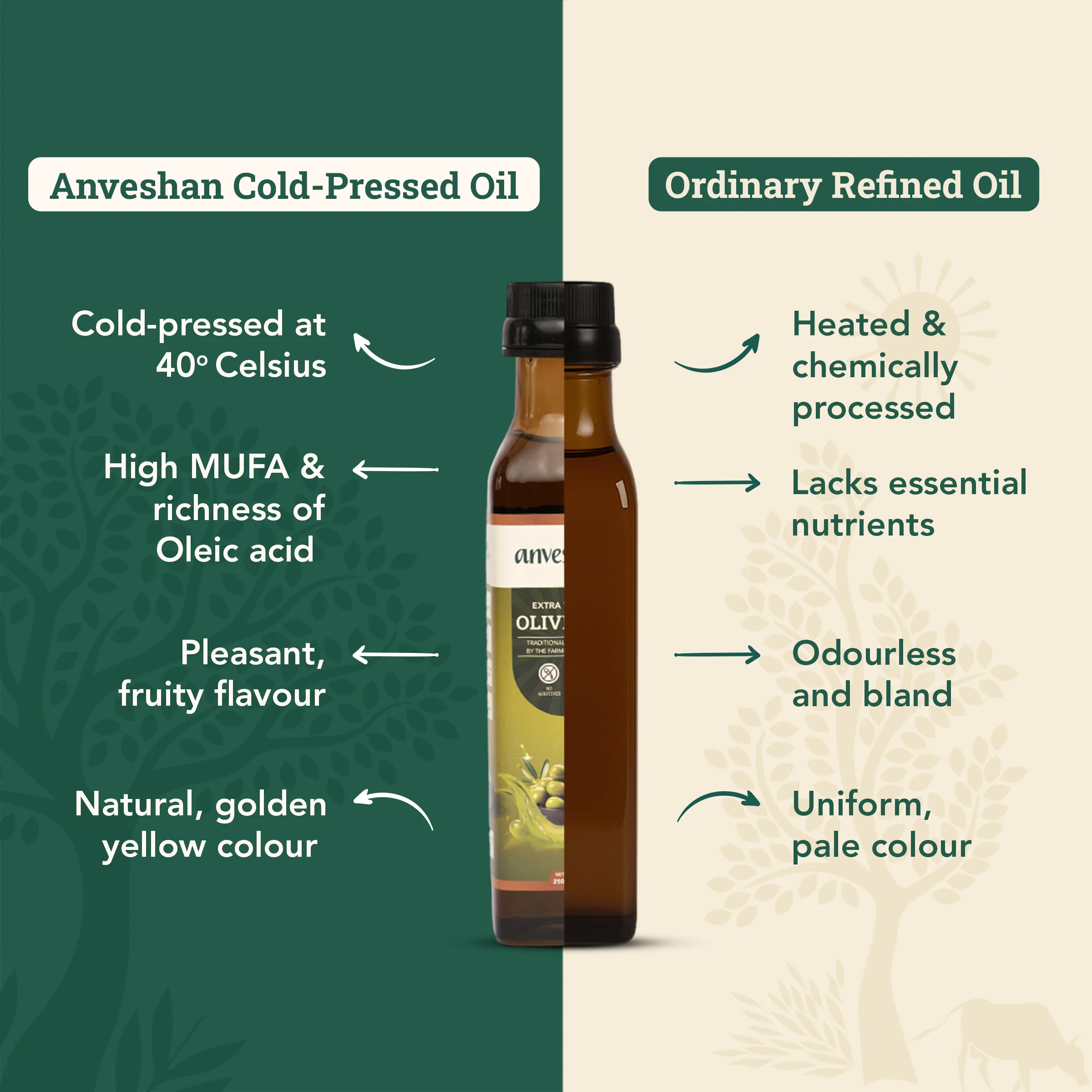 Extra Virgin Olive Oil - Image 4
