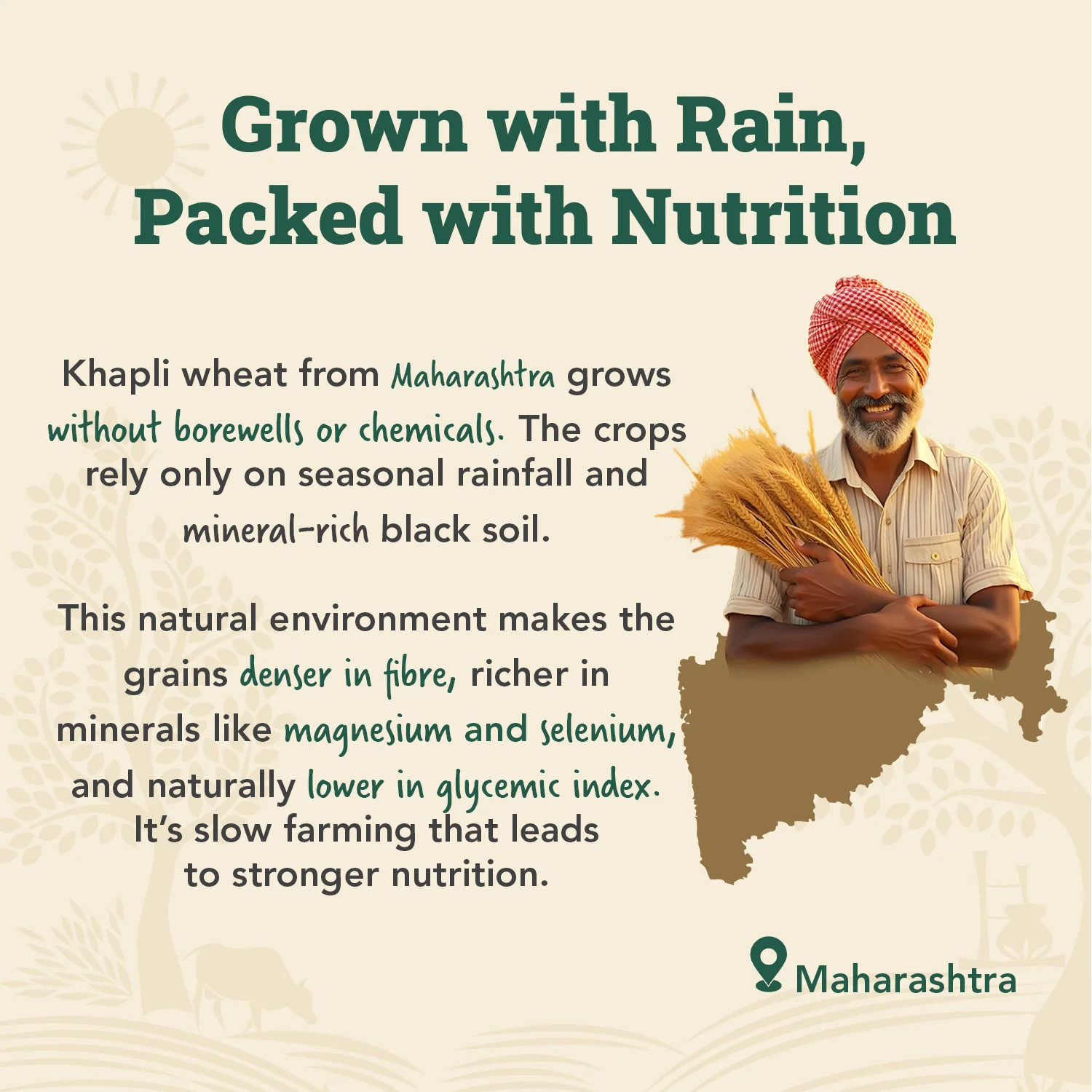 Cold-Pressed Khapli Atta - Image 8