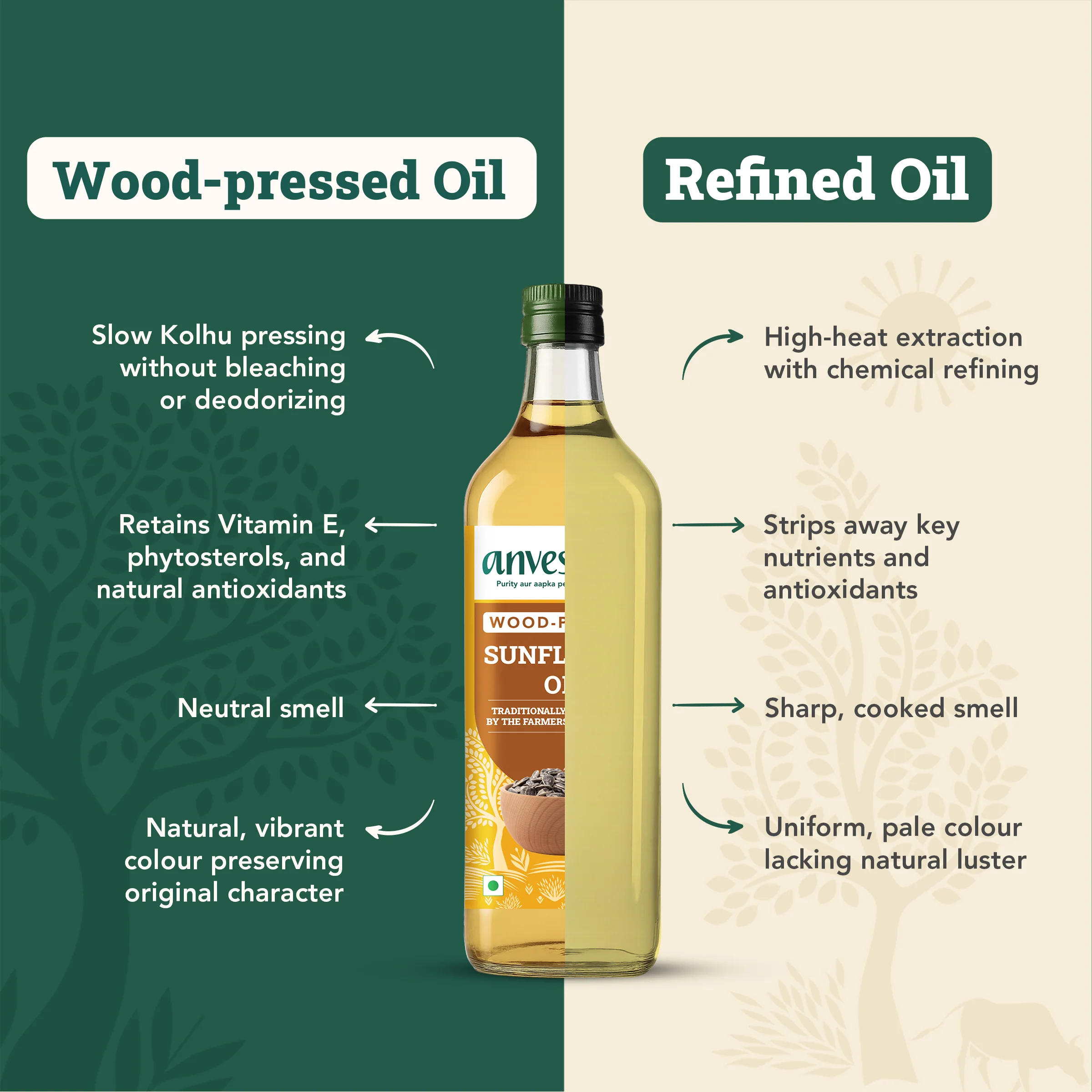 Wood-Pressed Sunflower Oil - Image 4