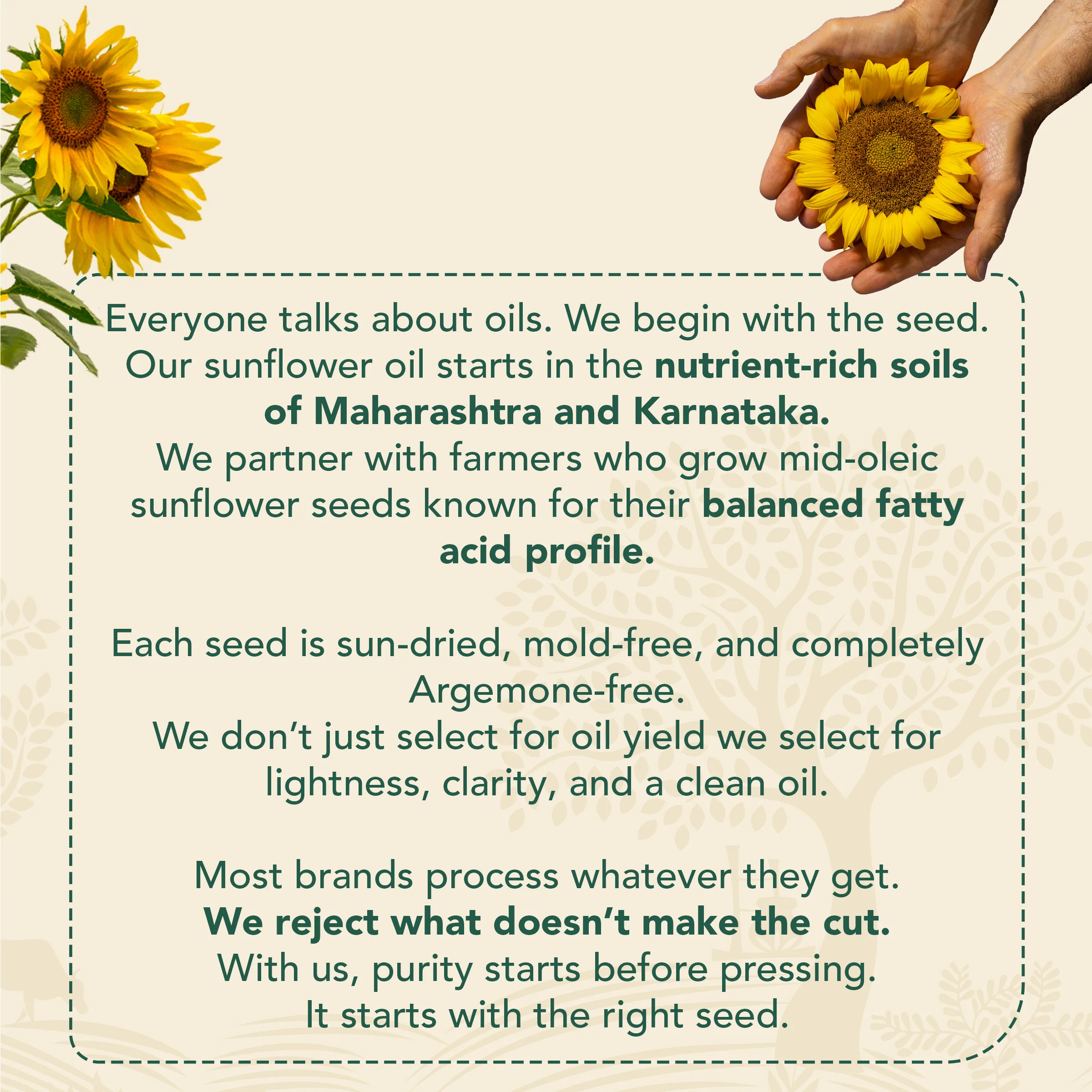 Wood-Pressed Sunflower Oil - Image 8