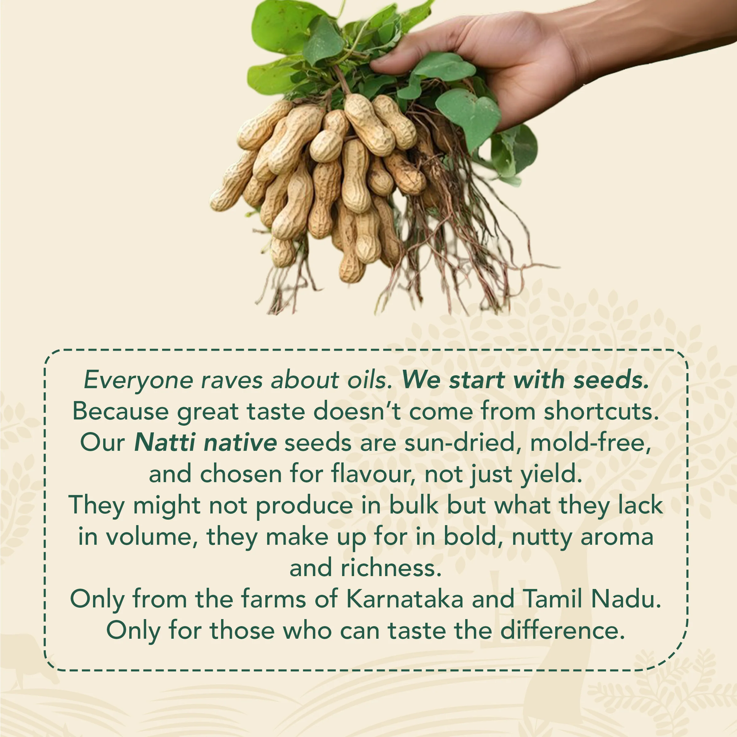 Wood-pressed Groundnut Oil- Spray Can - Image 6