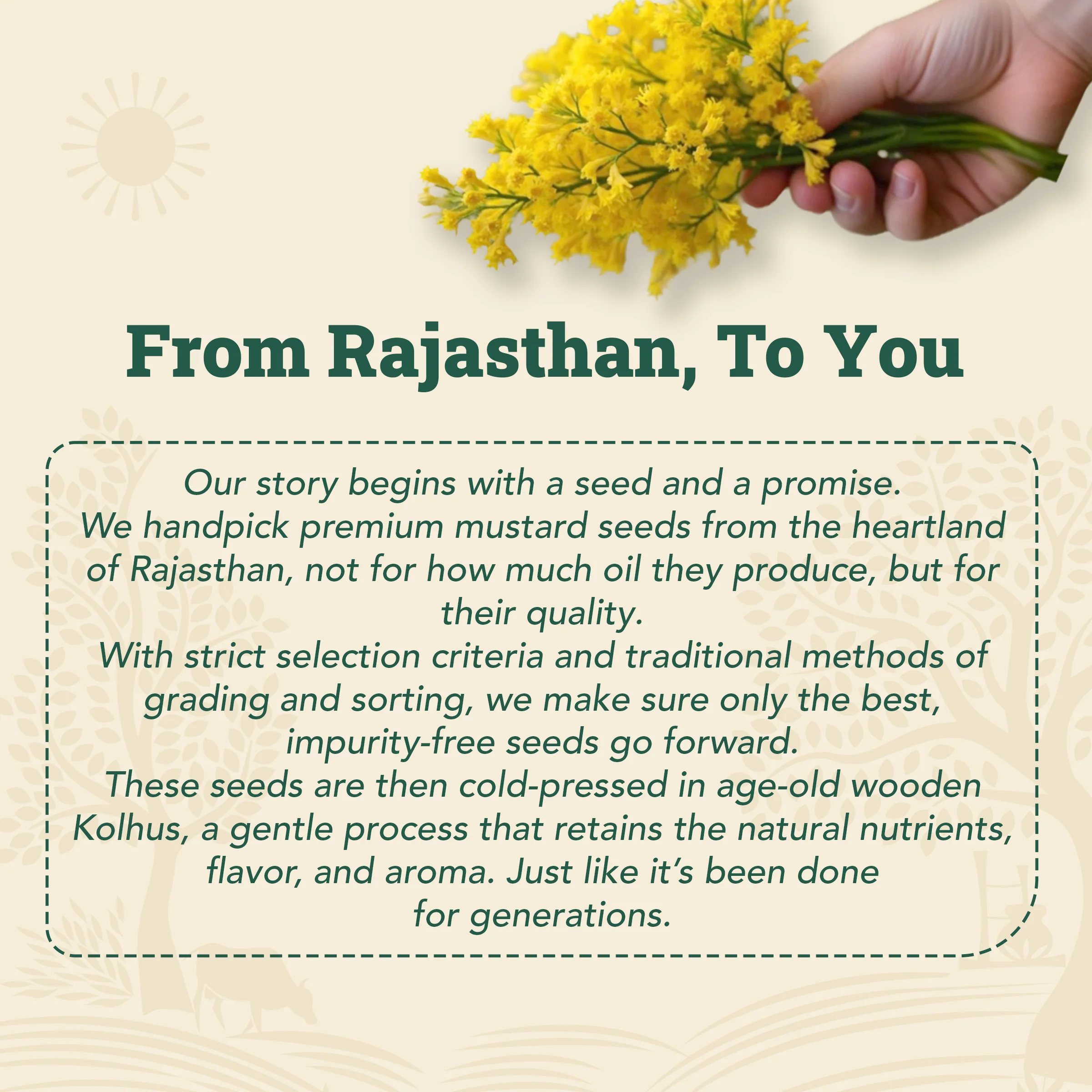 Wood-Pressed Yellow Mustard Oil - Image 8